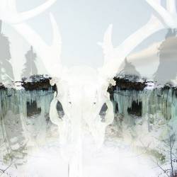 Seidr (USA) : For Winter Fire